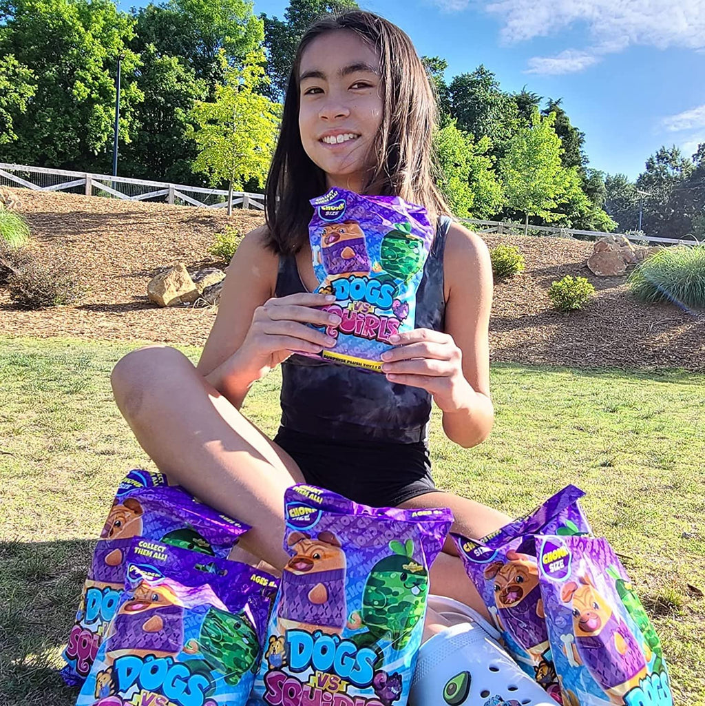 Dogs vs Squirls - Mystery Bag - 12-Pack - Chonks - Amazon Exclusive Super-Soft & Bean-Filled Plushies! Collect These as Stocking Stuffers! Great for Advent Calendars - Great for Kids, Boys, & Girls!