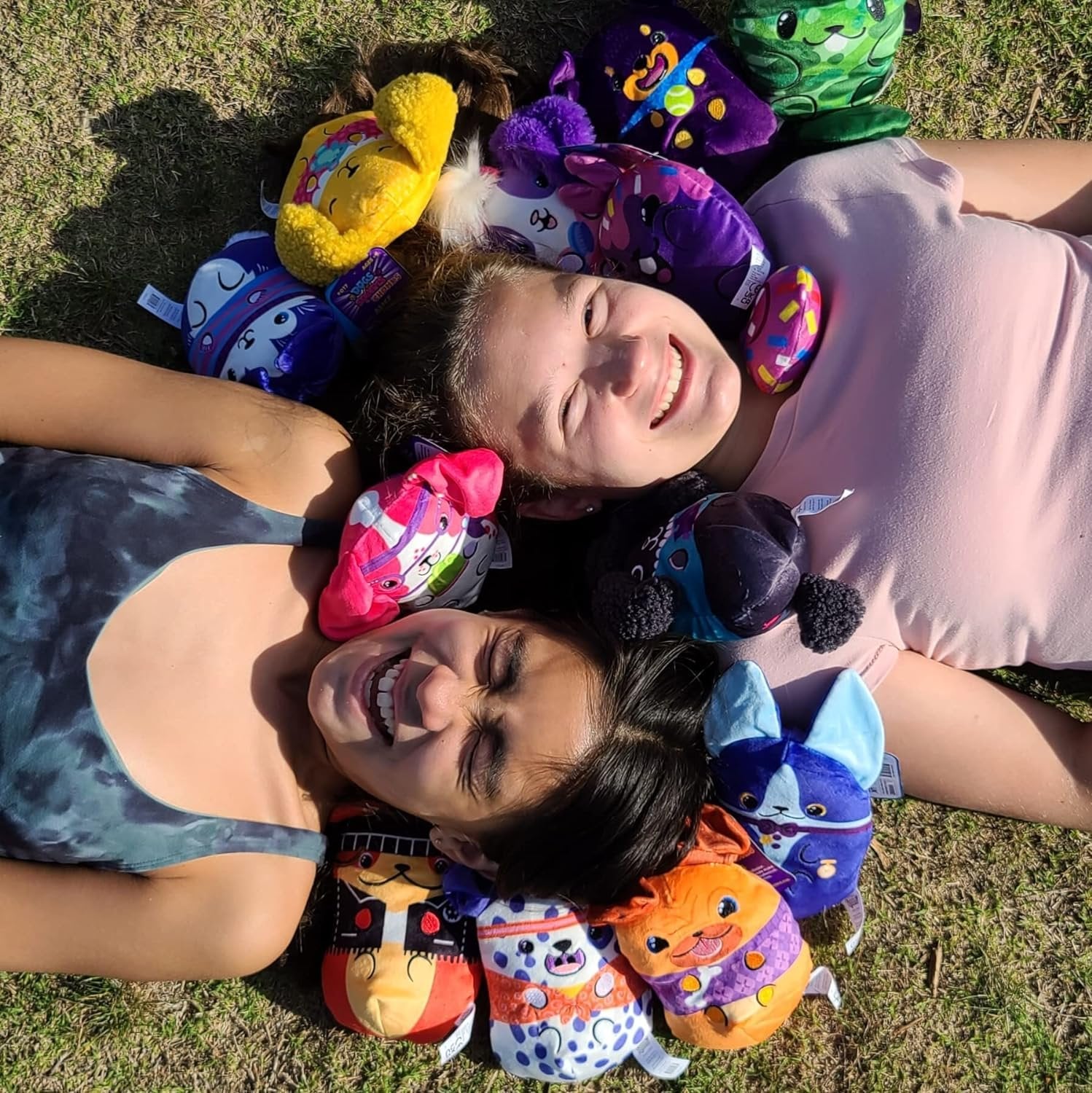 Dogs vs Squirls - Mystery Bag - 12-Pack - Chonks - Amazon Exclusive Super-Soft & Bean-Filled Plushies! Collect These as Stocking Stuffers! Great for Advent Calendars - Great for Kids, Boys, & Girls!